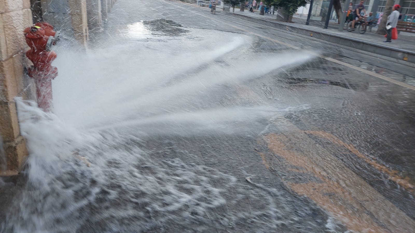 WhatsApp Image 2022-10-01 at 6.01.27 PM (2).jpeg